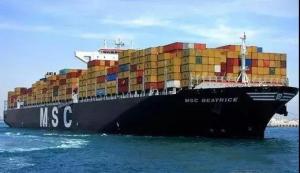 China High Quality Best Forwarder Fcl Sea Freight To Ancona From Qingdao on sale 