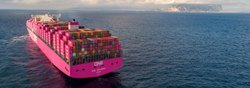 Domestic Shipping Service